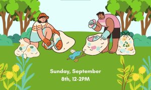 Image Imported from Maize Pages