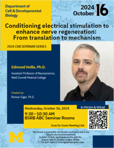 Conditioning electrical stimulation to enhance nerve regeneration: From translation to mechanism