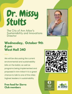 Missy Stults Flyer