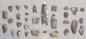 An assortment of stone lithics found at the Belson Clovis site.