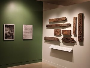 Snapshot of the Kelsey Museum’s current Crossroads of Cultures spotlight, showing reproductions of pages from the Description de l'Égypte and eight carved wooden relief panels.