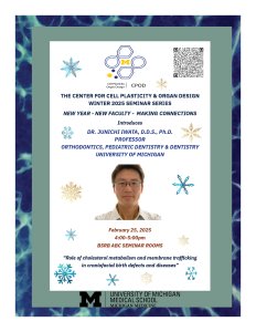 Junichi Iwata DDS, PhD