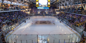 Michigan Law vs Ross Hockey Game