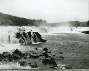 River with large cascades and rocks and a tree line behind the river