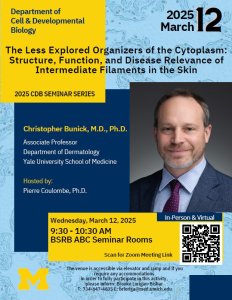 The Less Explored Organizers of the Cytoplasm: Structure, Function, and Disease Relevance of Intermediate Filaments in the Skin The Less Explored Organizers of the Cytoplasm: Structure, Function, and Disease Relevance of Intermediate Filaments in the Skin