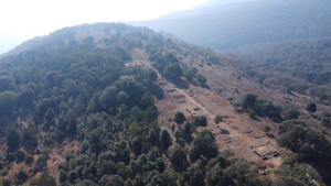 An arial view of a prehispanic settlement excavation on a mountain top amid trees and clearings