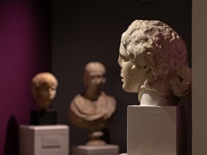 Side profile of a marble bust of Bacchus. In the background are marble busts of a boy and a woman.