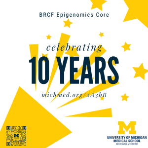 Celebrating 10 Years Celebrating 10 Years