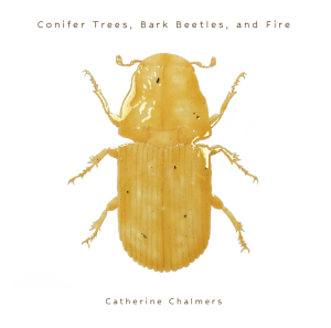 Promotional graphic featuring a gold bark beetle.
