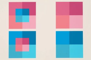 Detail from Interaction of Color by Josef Albers, 1963, courtesy of MIT List Visual Arts Center.