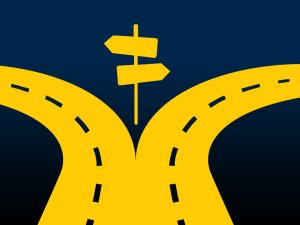 A road with a fork in the middle and two sign posts