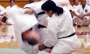 Image Imported from Maize Pages