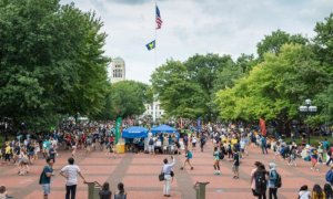 Image Imported from Maize Pages