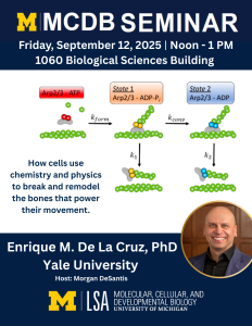 Seminar poster