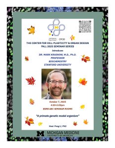 Mark Krasnow MD PhD