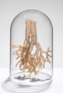 The strength of love. Anne Mondro. Plated wire, plexiglass, thread, 13”x8”x8”, 2023. Photo credit: Tim Thayer