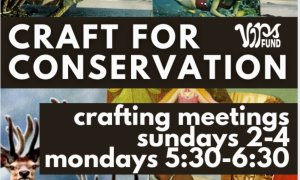 Image Imported from Maize Pages Image Imported from Maize Pages