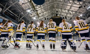 Image Imported from Maize Pages