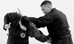 Image Imported from Maize Pages