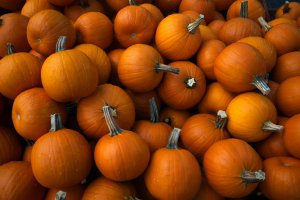 pumpkins pumpkins