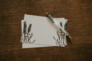 cards cards