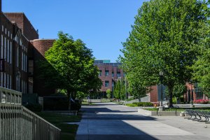 Michigan Mathematics