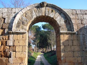 The arched entrance gate of the archaeological site of Falerii Novi, Rome. A tree-lined road leads into the ancient city. The arched entrance gate of the archaeological site of Falerii Novi, Rome. A tree-lined road leads into the ancient city.