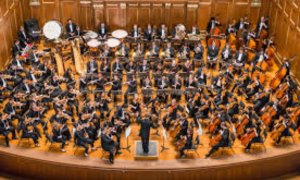 Image Imported from Maize Pages