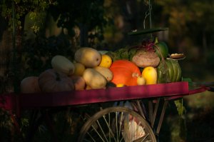 A cart with various gourds A cart with various gourds