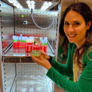 Dr. Kharbush showing off samples in test tubes
