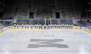 Image Imported from Maize Pages