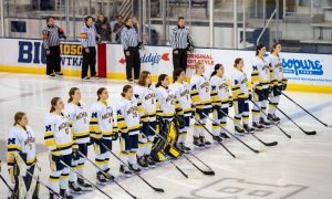 Image Imported from Maize Pages