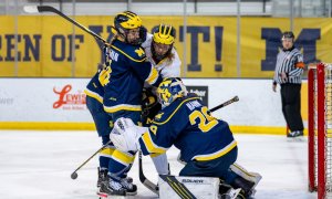 Image Imported from Maize Pages