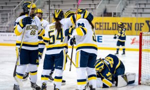 Image Imported from Maize Pages