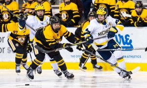 Image Imported from Maize Pages