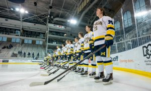 Image Imported from Maize Pages