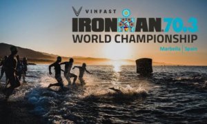 Image Imported from Maize Pages