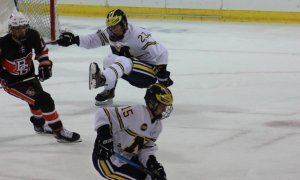 Image Imported from Maize Pages