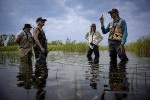 People wearing waders and standing in knee-deep water