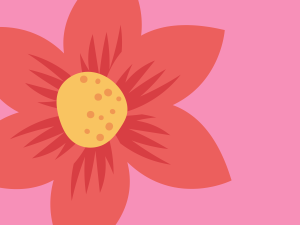Illustration of a red flower on pink background