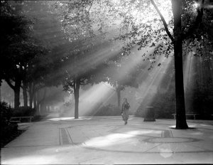 The Detroit Observatory
