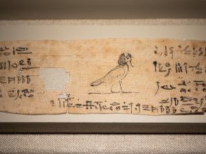 Light tan fragment of a mummy bandage laid flat in a display case. Its surface features hieroglyphs inscribed in black ink and a drawing of a bird with a human head.