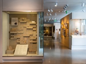 General view of the Kelsey Museum’s first-floor galleries, looking into cases full of ancient Middle Eastern, Greek, and Egyptian objects such as figurines, vases, and reliefs.