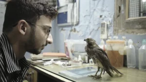 A man in glasses intently observes a small bird perched on a cluttered desk in a dim room.