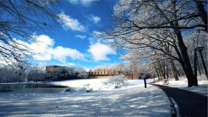 Black American Music in Honor of MLK Day