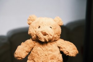 Teddy Bear