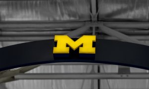 Image Imported from Maize Pages