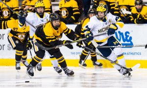 Image Imported from Maize Pages