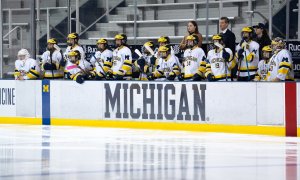 Image Imported from Maize Pages