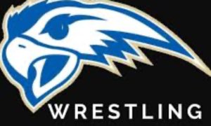 Image Imported from Maize Pages